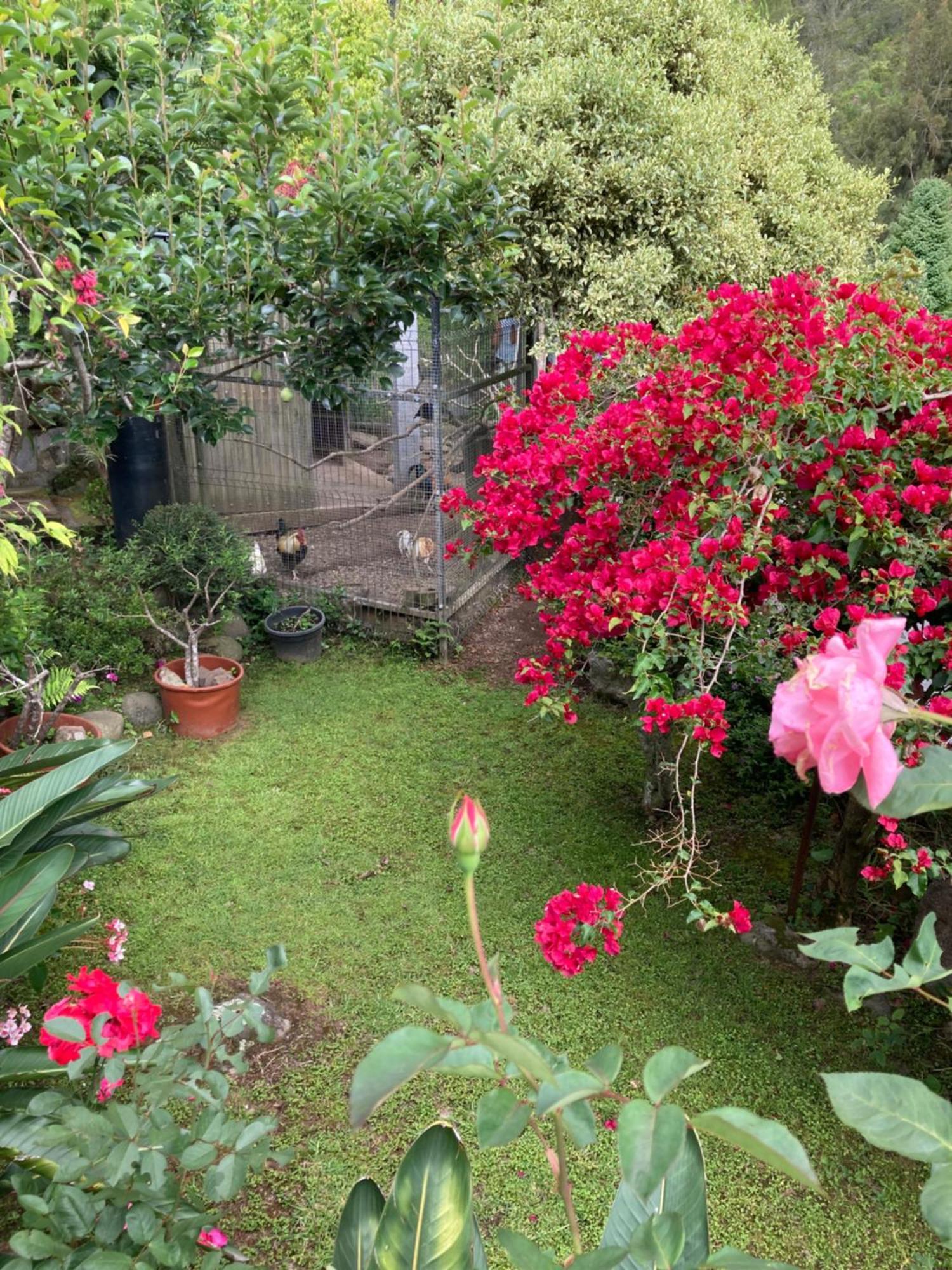 Willa Les Begonias Cilaos Zewnętrze zdjęcie